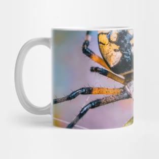 Black & Yellow Argiope Orbweaver Spider. Macro Photograph Mug